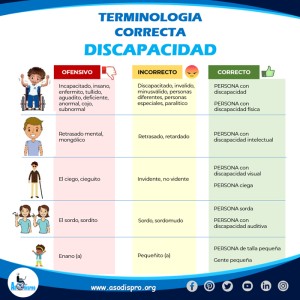 1-infografia-discapacidad.png