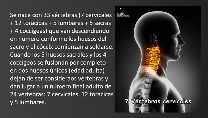 Infografía 